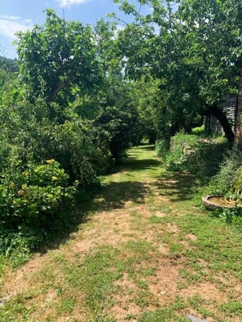 Finca Salvador Baralla Bagian luar foto